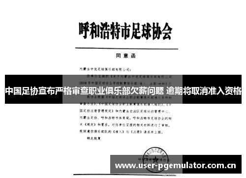 中国足协宣布严格审查职业俱乐部欠薪问题 逾期将取消准入资格 中国足协宣布严格审查职业俱乐部欠薪问题 逾期将取消准入资格
